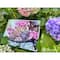 Merejka® Two Owls in Spring Blossom Counted Cross Stitch Kit
